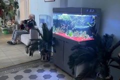 WhatsApp-Image-2026-02-16-at-13.37.24