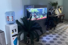 WhatsApp-Image-2026-02-16-at-13.37.32