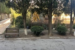 WhatsApp-Image-2026-02-16-at-13.38s.00