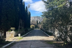 WhatsApp-Image-2026-02-16-at-13.3ss8.01